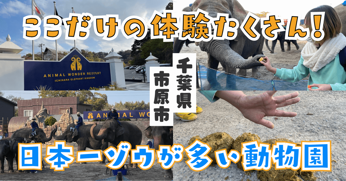 市原ぞうの国　アイキャッチ